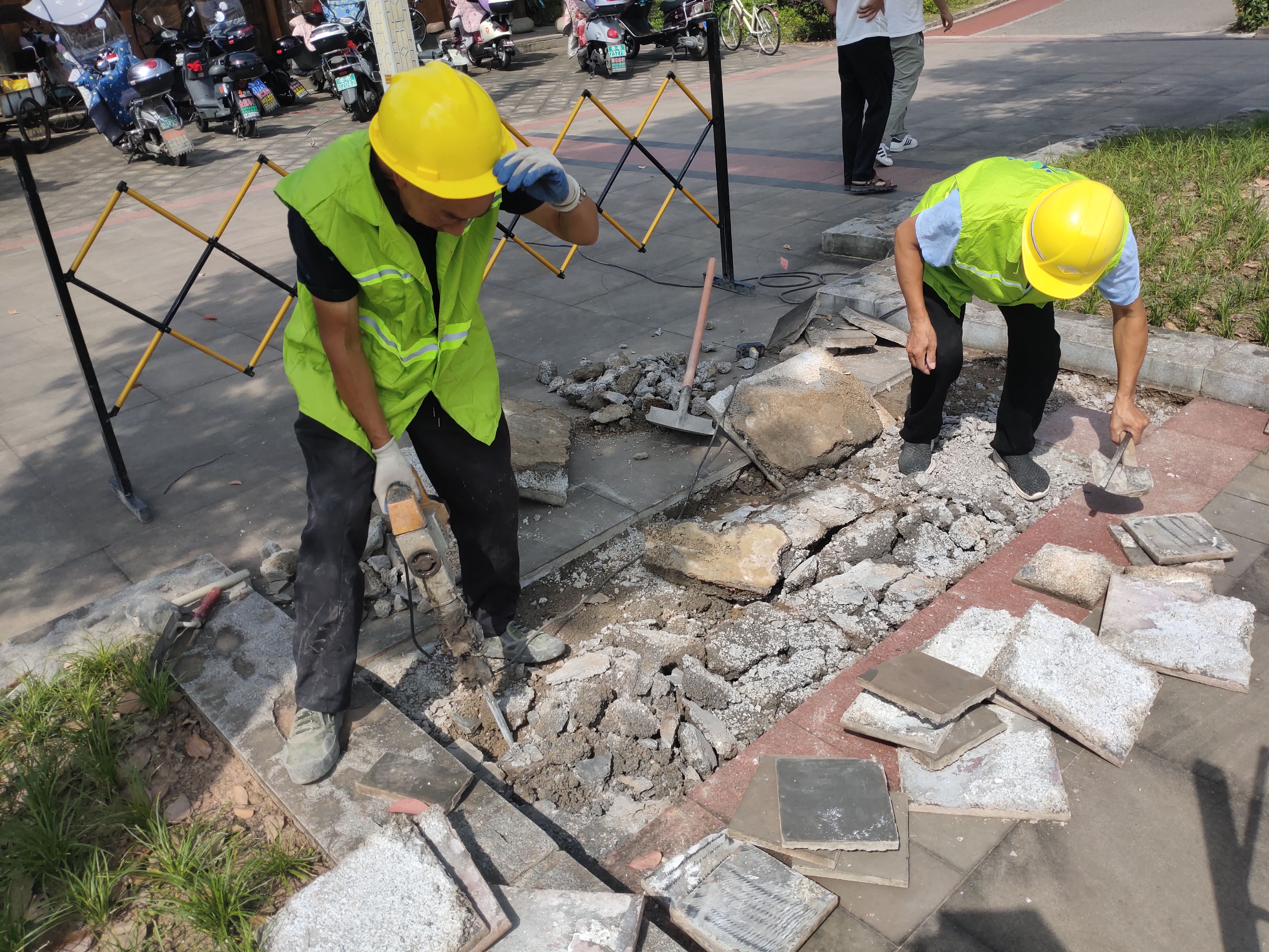 墊江縣公園維護維修項目